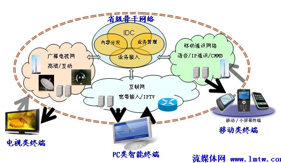 互动电视--数字电视技术企业应对三网融合探析